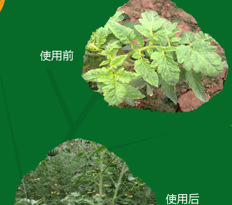 氯氟聯(lián)苯吡菌胺如何實(shí)現(xiàn)我國(guó)首家登記？