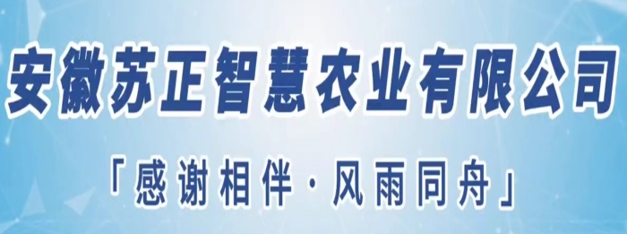 守望初心勇?lián)?dāng)，篤定前行綻芳華